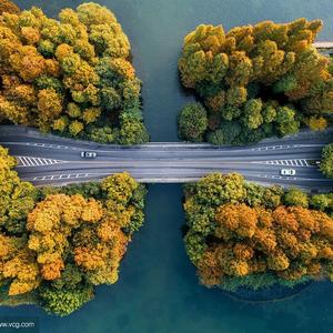 天天金典歌曲 头像