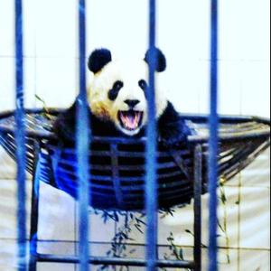 成都清洁工 头像