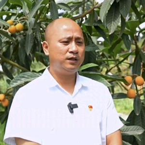 资中枇杷支书（黄俊） 头像