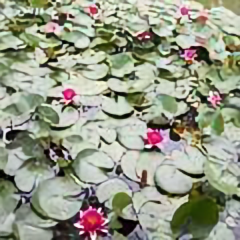 闲人水瓶座