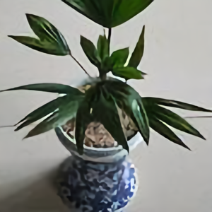 青花韵律185098660