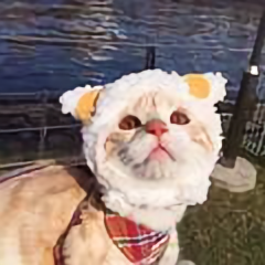 很优秀的何仙姑 头像