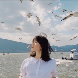 鹿屿溪 头像
