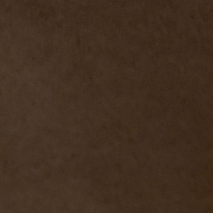 明天生活点滴事 头像