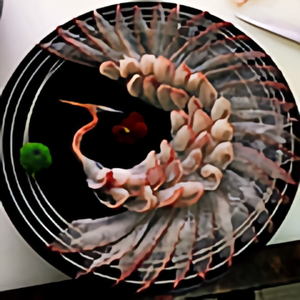 MaGi料理交流分享 头像