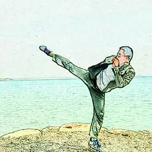 剽悍一只猫 头像