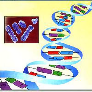 动物遗传与生活 头像