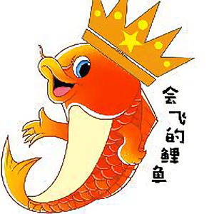会飞的鲤鱼 头像