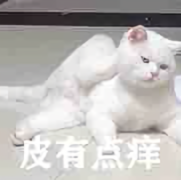 阿鱼乏了 头像