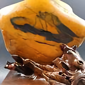 Shaoyong牧星人