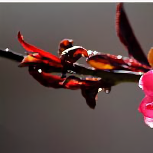 爱在人世间 头像