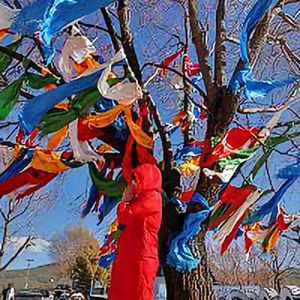 教育有思想 头像