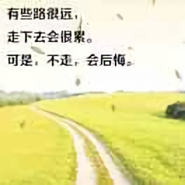有趣的海洋toT 头像