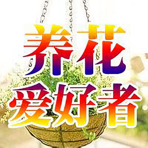 养花爱好者 头像