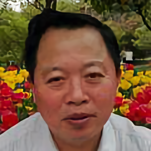 运河之杨