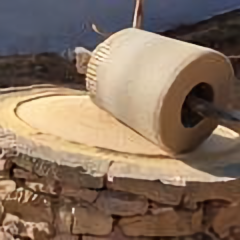 你好维生素B 头像