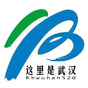 这里是武汉 头像