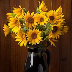 雪城向日葵 头像