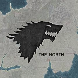 沉迷互联网的一小只 头像