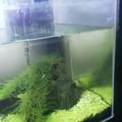 鱼磊卫静