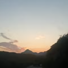 无欲无求805