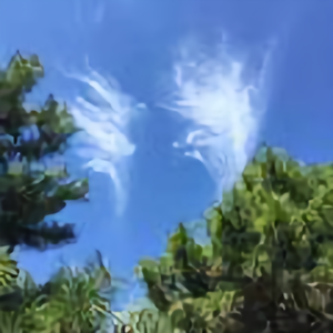 远方的闰土