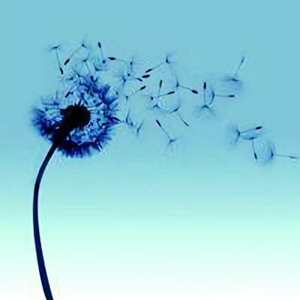 过敏的神经 头像