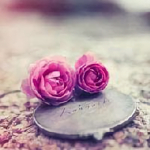 生活细节小事 头像