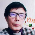 用户YD