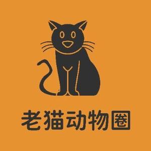 老猫动物圈头像