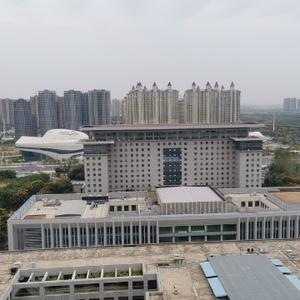 专业打狗0712