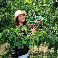 米兰的自媒体 头像