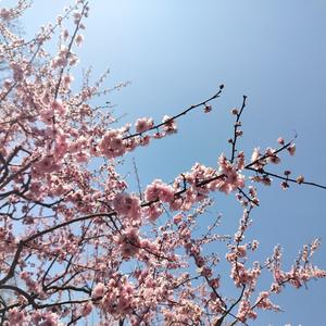 涓涓 头像