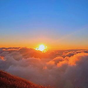 梦想成真爱生活爱音乐 头像