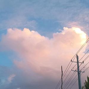 紫霞 头像