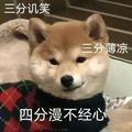 橘子爱观察 头像