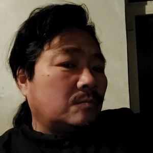 头一条飞刀大师恐龙