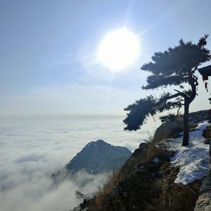 共话巴山夜雨头像