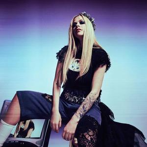 老陆独宠安安 头像