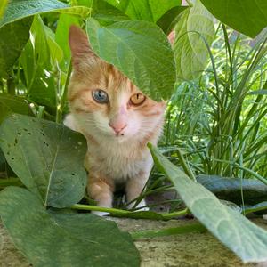 随拍起个名字真难 头像