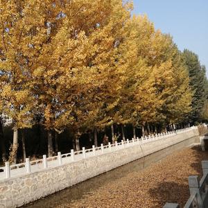水北阳光