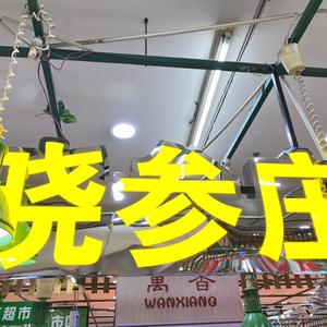 晓参庄参茸花茶 头像