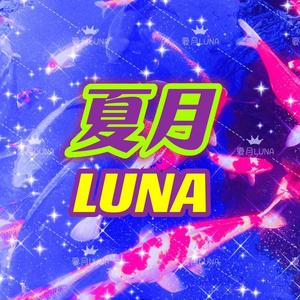 夏月LUNA塔罗 头像