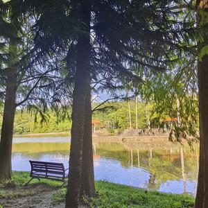 骄傲橙橙橙9021 头像