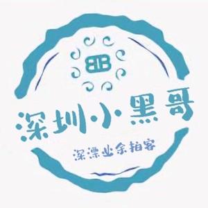 深圳小黑哥头像