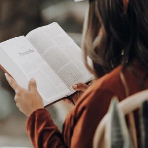 绘小潭读书 头像