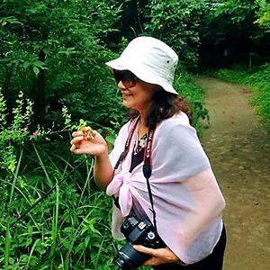 秋落梧桐5032 头像