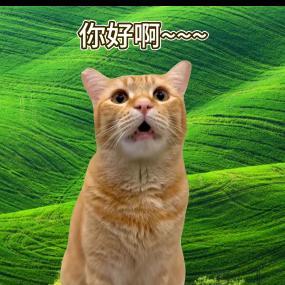 猫meme耶头像