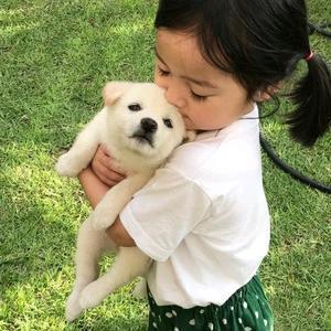 米老鼠和刘老根说萌娃 头像