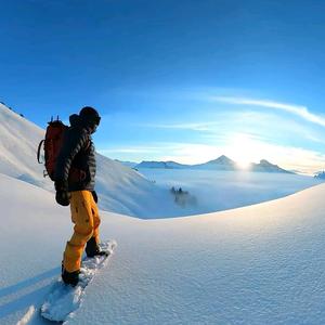 上进清风馆 头像